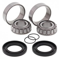 ALL BALLS KIT, BEARINGS, DETENT AND ROCKING BITS 17211