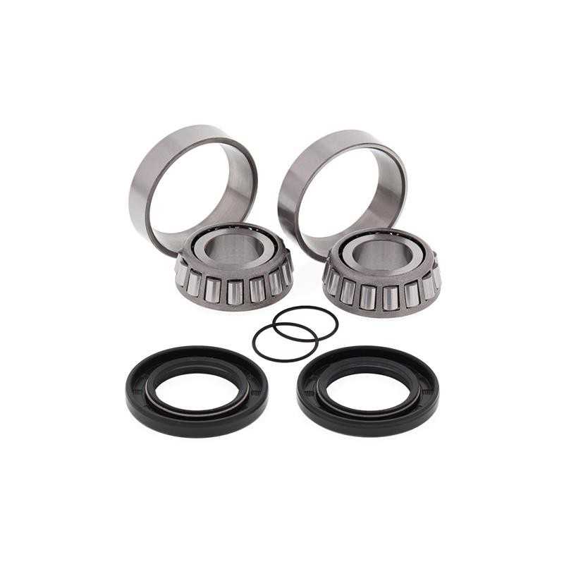 ALL BALLS KIT, BEARINGS, DETENT AND ROCKING BITS 17211