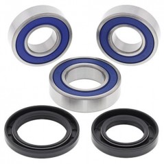 ALL BALLS Kit de reparación rodamientos rueda trasera para bicicletas 17155