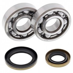 ALL BALLS Kit rodamientos y retenes de cigüeñal 24-1110 34614