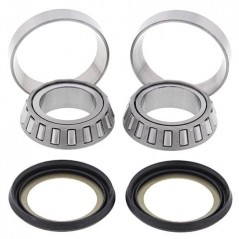 ALL BALLS KIT, BEARINGS AND SEALS SPINE STEERING 17059