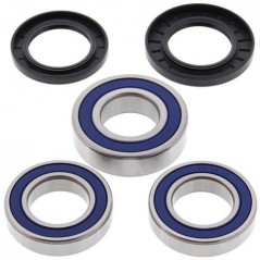 ALL BALLS KIT, BEARINGS, WHEEL, REAR 17094