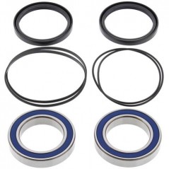 ALL BALLS KIT, BEARINGS, WHEEL, REAR 17133