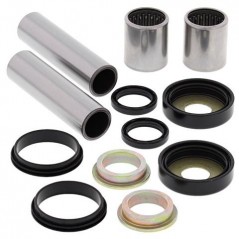 ALL BALLS KIT, BEARINGS, DETENT AND ROCKING BITS 17226