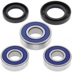 ALL BALLS KIT, BEARINGS, WHEEL, REAR 17118