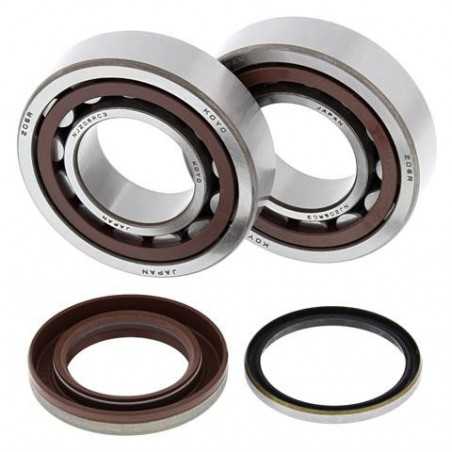 ALL BALLS KIT, BEARINGS AND SEALS FOR CRANKSHAFT 24-1105 34609