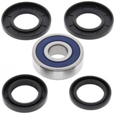 ALL BALLS Kit rodamientos rueda trasera 17194