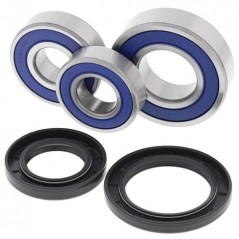 ALL BALLS Kit rodamientos y retenes de rueda trasera 25-1703 45930