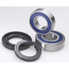 ALL BALLS Kit rodamientos y retenes de rueda trasera 776639