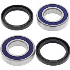 ALL BALLS Rear wheel bearing and retainer kit 776643