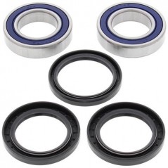 ALL BALLS Rear wheel bearing and retainer kit 776644