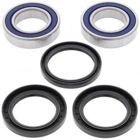 ALL BALLS Rear wheel bearing and retainer kit 776644