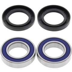 ALL BALLS Kit rodamientos y retenes de rueda trasera 776652
