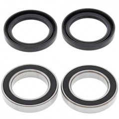 ALL BALLS Rear wheel bearing and retainer kit 776653
