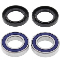 ALL BALLS Rear wheel bearing and retainer kit 776655