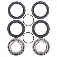 ALL BALLS Rear wheel bearing and retainer kit 776657