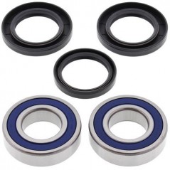 ALL BALLS Rear wheel bearing and retainer kit 776661