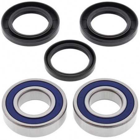 ALL BALLS Rear wheel bearing and retainer kit 776661