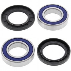 ALL BALLS Kit rodamientos y retenes de rueda trasera 776666