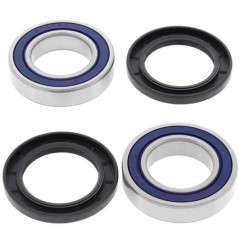 ALL BALLS Rear wheel bearing and retainer kit 776667