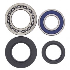 ALL BALLS Kit rodamientos y retenes de rueda trasera AB1010
