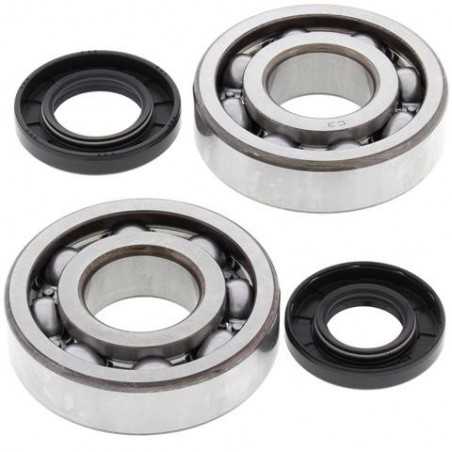 ALL BALLS KIT, BEARINGS AND SEALS FOR CRANKSHAFT 24-1010 34524