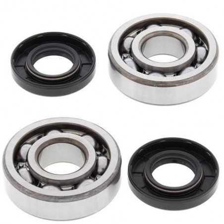 ALL BALLS KIT, BEARINGS AND SEALS FOR CRANKSHAFT 24-1006 34520