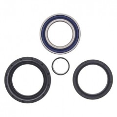 ALL BALLS Kit rodamientos rueda delantera 17170