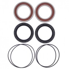 ALL BALLS KIT, BEARINGS, WHEEL, REAR (IMPROVED) 17192
