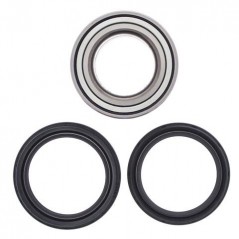 ALL BALLS KIT, BEARINGS, WHEEL, REAR 17176
