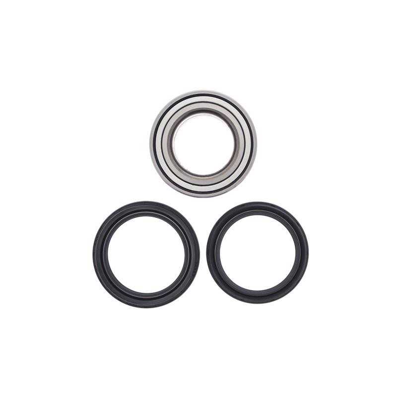 ALL BALLS KIT, BEARINGS, WHEEL, REAR 17176