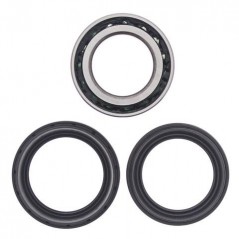 ALL BALLS Kit rodamientos rueda trasera 17160