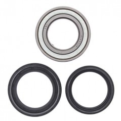 ALL BALLS KIT, BEARINGS, WHEEL, FRONT 17167