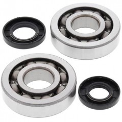 ALL BALLS Kit rodamientos y retenes de cigüeñal 24-1047 34557