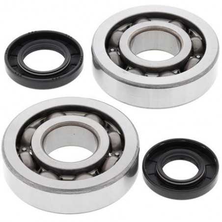 ALL BALLS KIT, BEARINGS AND SEALS FOR CRANKSHAFT 24-1047 34557