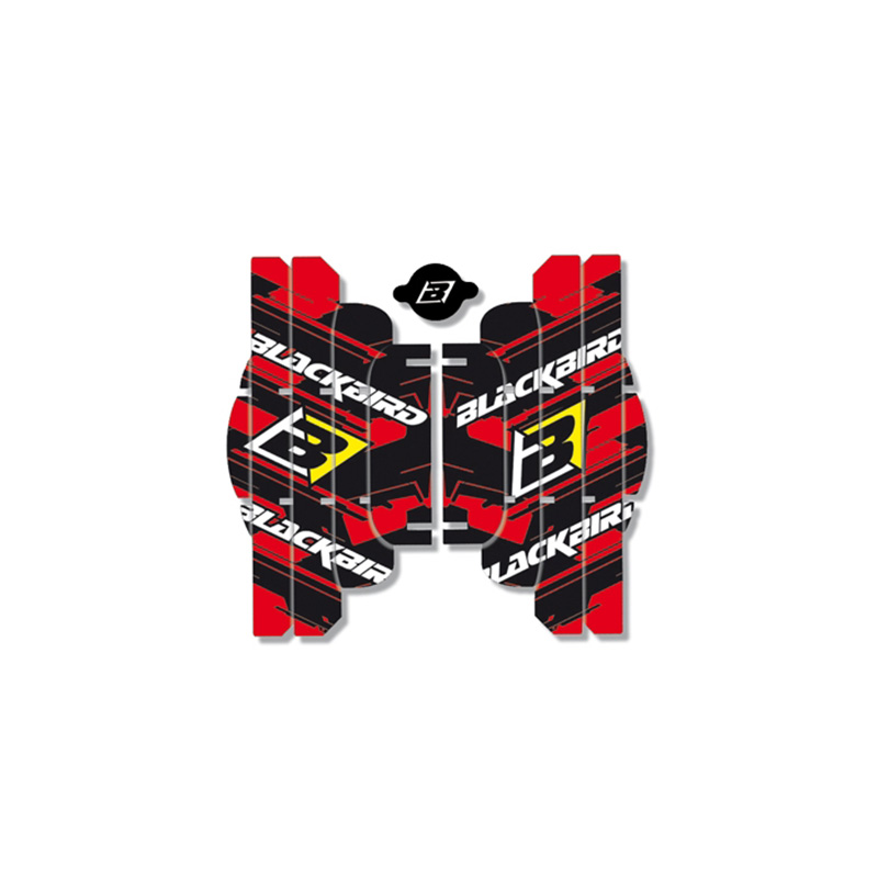 BLACKBIRD RACING Adhesivos para rejillas radiador A102 39139