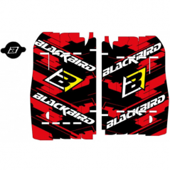 BLACKBIRD RACING Adhesivos para rejillas radiador A104 39140