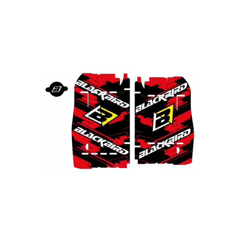 BLACKBIRD RACING Adhesivos para rejillas radiador A104 39140