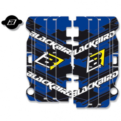 BLACKBIRD RACING Adhesivos para rejillas radiador A201 39142