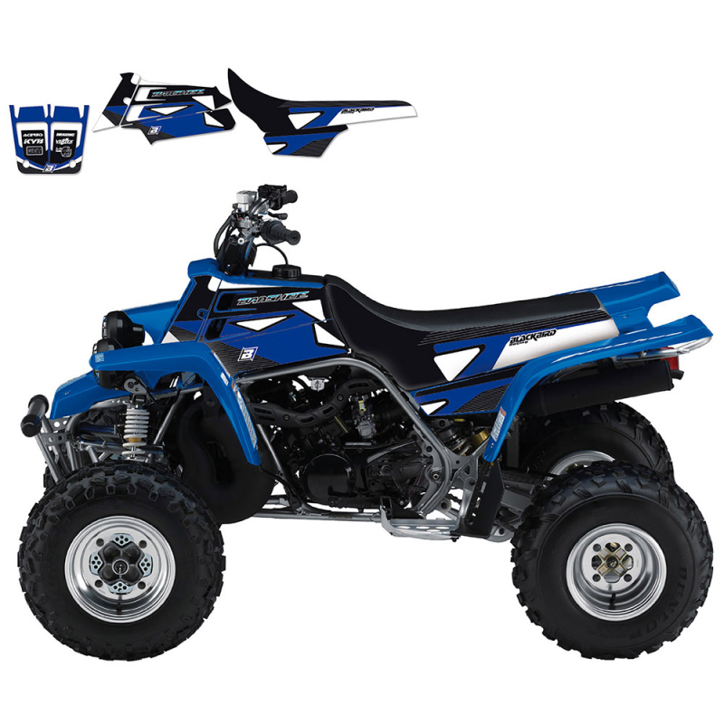 BLACKBIRD RACING Kit adhesivos pegatinas 2Q01A 39197