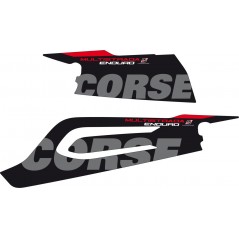Protective sticker decals kit for swingarm