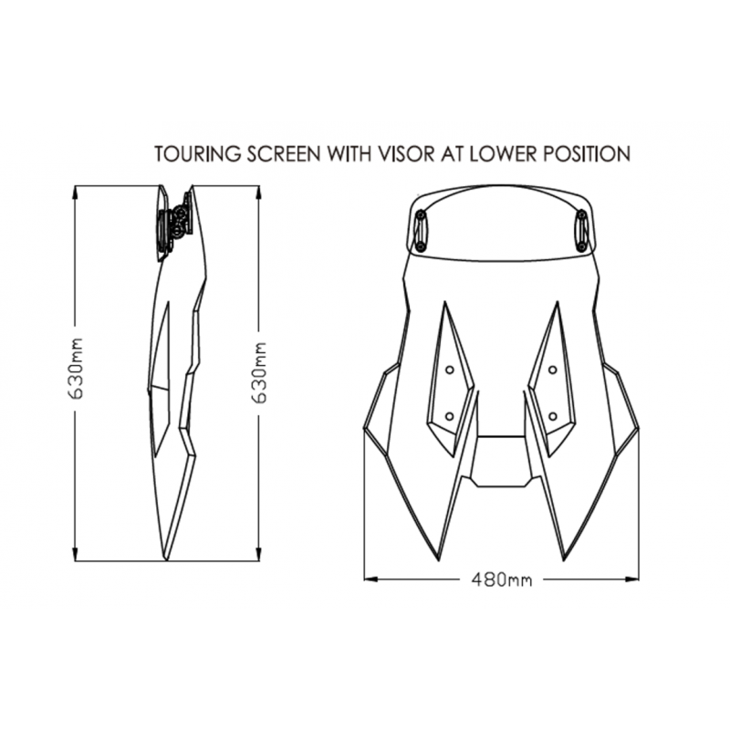 Windshield screen with visor  TOURING