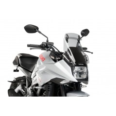Windshield screen with visor  TOURING
