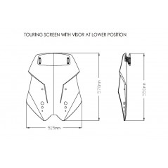 Windshield screen with visor  TOURING