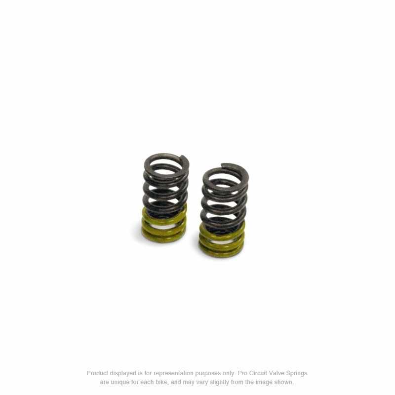 PRO CIRCUIT Valve spring 11600001