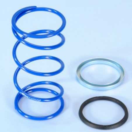 POLINI Counter spring EVO SLIDER D 3.8 MINARELLI 243.104 PLN243104