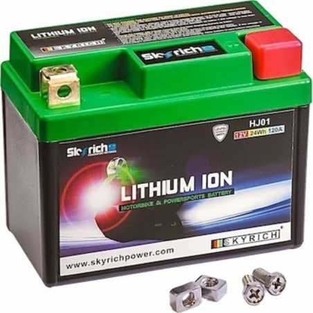 SKYRICH Lithium battery HJ01 30000022