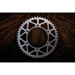 PBR Standard steel transmission plate crown 48 520 4549 47454948