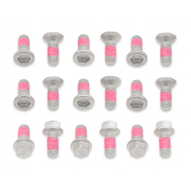 BOLT Front / rear brake disc bolt kit 893361