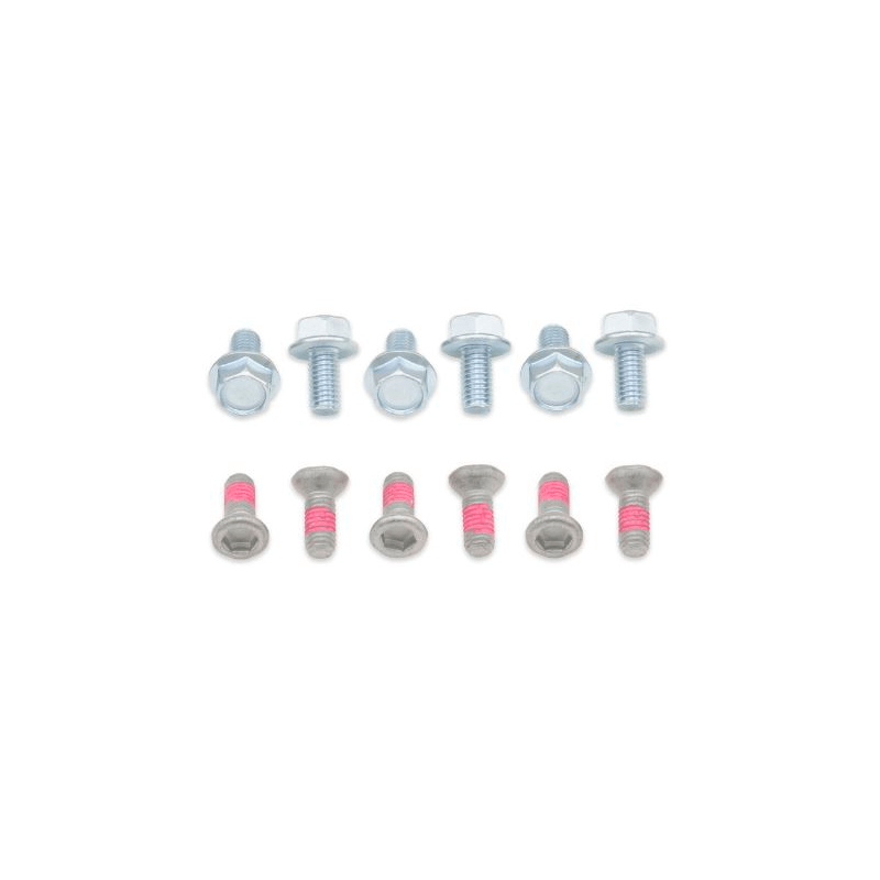 BOLT Front / rear brake disc bolt kit 893463